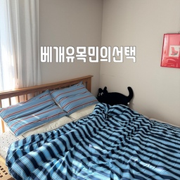 #베개유목민의선택 #챌린지
제가 쓰는 베개들....!!
1.프로덕트어베드 경추베개
경추베개는 목의 C자 곡선을 받쳐주도록 되어있는 베개라 목을 편안하게 받쳐주는 느낌이 들어서 번갈아가며 종종 쓰는 베개이기도 해요!!!
2.하구기 뒹굴뒹굴베개
이 베개는 울집 중딩이가 넘 잘 사용하는 베개에요...
누워 있을때 목을 받치기에도 좋고
엎드려서 핸드폰 할때도 편하게 사용할수도 있구요..
앉아서 기대서 쓰기에도 편해서 딸이 좋아하는 베개더라구요....ㅋㅋ
베개 하나로 숙면 취할수 있는템이라면 더 좋은것 같아요..