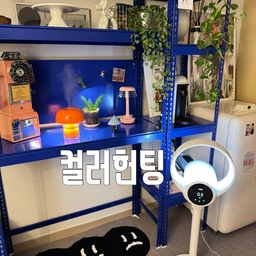 #컬러헌팅 #챌린지 #콘수프기록집 
우리집 컬러헌팅 할곳이 한두군데가 아니지요!!!
그중 대표 컬러인 블루블루!!!
원래도 블루컬러 좋아했는데
알파룸에  폴던스랙이 들어오면서 대표 컬러가 된것 같은 느낌이!!!
블루컬러 위에 여러컬러 함께 있는것도 좋아요!!!