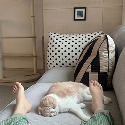 #콘수프기록집 #현명한소비
🛒 현명한 소비
예쁜데 실용성까지 챙긴 아이템들 🤍
도트 패턴이 매력적인 등쿠션은 디자인도 예쁘지만 소파나 침대에서 기대어 쉬기 좋아서 생각보다 더 자주 손이 가더라구요.
요즘 티를 자주 마시다 보니 내열유리 세트도 유용하게 쓰고 있어요. 투명한 유리 디자인이 깔끔해서 티를 담아두기만 해도 예쁘고, 머그컵과 티포트까지 활용도가 좋아요.
#현명한소비 #오늘의소비 #홈스타일링  #등쿠션 #쿠션추천 #홈카페 #티타임 #내열유리 #유리머그컵 #티포트 #홈카페용품 #신혼집인테리어 #감성소품 #거실인테리어 #도르모르 #무인양품 #무인양품유리컵 