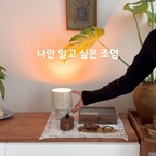 오랜만에 들인 새 조명 💡

북촌에 가면 서울공예박물관에 종종 들르곤 하는데요. 올해 초 박물관 굿즈샵에서 윤지훈 작가님의 분청 조명을 보고 마음속 장바구니에 담아뒀거든요.

지난달 남편과 데이트를 갔다가 생일 선물로 사달라고 했어요. 마침 작가님의 신제품이 들어와 있었는데, 제가 데려온 건 신제품 머쉬룸 분청 조명!

분청 특유의 소박하고 따뜻한 질감부터 자연스러운 형태까지 너무 마음에 들구요. 불을 켜지 않아도 하나의 도자 오브제로 공간에 어우러지고, 불을 켜면 은은한 빛으로 또 다른 분위기를 만들어줘요✨

흔하지 않고, 오래도록 곁에 두고 싶은 조명을 찾으신다면 이런 도자 공예 조명도 눈여겨보세요🤎

🏷️ 윤지훈 작가 | 머쉬룸 분청 조명 | 15만 원

#콘수프기록집 #예쁜템최고야 #윤지훈 #분청조명 #서울공예박물관 #조명추천 #조명인테리어 #인테리어조명 #집꾸미기 #집들이선물 