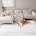 #협찬 ㅣ @likethix 

날이 쌀쌀해지니 집 분위기도 조금씩 바꿔주고 싶은 요즘 🤍

이번에는 거실에 아이보리 러그를 깔아봤어요 !

화이트 우드 인테리어와 자연스럽게 어우러지는 컬러라
거실이 한층 더 따뜻하고 차분한 분위기로 바뀌었어요 ☁️

러그 하나만 더했을 뿐인데
공간이 훨씬 정돈되어 보이더라구요 🤍

망고와 함께 생활하는 집이다 보니 디자인뿐 아니라
관리하기 편한지도 중요하게 생각하는데요 🐾

적당한 두께감으로 사계절 내내 사용하기 좋고,
무엇보다 집에서 물세탁으로
관리할 수 있다는 점이 가장 마음에 들었어요 🫧

러그는 매일 아이템인 만큼 세탁이나
관리가 번거롭지 않은 게 중요하잖아요 !!

예쁜 디자인에 실용성까지 갖추고 있으니
일상에서 더 편하게 사용할 수 있을 것 같아요 🎶

올겨울은 라익디스 러그와 함께
포근한 거실 만들어보는거 어떠세용 ?  𓂃 ࣪˖ 🤍

#오늘의집 #오늘의집ftc #오늘의집ftc27기 #콘수프기록집 #미니멀인테리어 #거실인테리어 #화이트인테리어 #러그 #러그인테리어 #러그추천 #미니멀러그 #라익디스 #라익디스러그 #오늘의우리집 