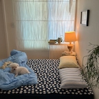 /제공 •• 똥꼬발랄 강아지와 함께하는 침구 교체 day 🛏️
핀카에서 패드가 나왔는데 무려 똑딱이 패드!
매트리스커버 버튼과 고정해서 사용하면
밀림 없이 사용할 수 있어서 움직임이 많은 저희 집에도 딱이에요
5온스 충전재로 편안하고 세미 피치 가공으로 부드러워요😚
핀카답게 유니크한 컬러와 다양한 패턴을 
조합해 볼 수 있는 부분도 매력 포인트 •• 🖤


#FINCA #finca #똑딱이패드 #침대패드 #매트리스커버