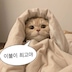 게시글 미리보기 이미지