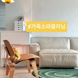 🛋️(수명 연장!) 6년 차 가죽 소파 클리닝.
그렇게 제때 해야 청소가 쉽다면서,
매일 앉고, 눕고, 졸던 곳.
댓글과 DM에 가장 문의가 많은 가구.
오늘은 가죽 소파 클리닝을
소개해 볼게요.
📍가죽 소파 클리닝
1. 2021년 8월에 구매한 가죽 소파.
2. 준비물-전용 클리너.
3. 동봉 된 장갑은 너무 커서 
주방용 니트릴 장갑으로 대체.
4. 천에 클리너 용액 듬뿍,
잠깐 스며들 때까지 기다렸다가
5. 손에 힘 빼고 가죽 결 따라 슬슬.
6. 오염 심한 곳은 말렸다가 2~3번 닦기.
7. 구석구석 꼼꼼하게 관리.
8. 잔뜩 묻어난 때.
9. 청소 전.
10. 청소 후.
⭐️ 때 밀듯이 NO! 로션 펴 바르듯이 YES!
만 5년이 넘은 소파라 
자세히 보면 닳긴 했지만
앉은 자리 따라 길이 들었어요.
나중에 이만큼 큰 소파는 
들이지 않을 계획이라
지금처럼 주기적으로 관리해서 
오래오래 함께 하길요!
오늘도 단정한 집을 가꿔요. 🏡
(자세한건 블로그를 참고하세요)
#서나의살림레시피 #미니멀살림러 
#미니멀라이프 #미니멀살림 #감성살림
#가죽소파 #가죽소파클리닝 #가죽소파관리 
#홈케어 #모듈소파 #알로소소파 #알로소보눔
#거실인테리어 #거실소파 #소파청소 #소파관리
#가을맞이 #가을맞이대청소 #대청소 #살림꿀팁
#콘수프기록집 #예쁜템최고야 #웜톤인테리어