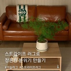 러그의 잔잔한 스트라이프 패턴이 공간에 시각적인 리듬감을 더합니다. 과하지 않은 패턴과 차분한 컬러가 가구의 개성을 살리면서, 공간 전체에 정돈된 분위기를 만들어줘요😌

#오늘의우리집 #콘수프기록집 #거실 #거실인테리어
#미드센츄리 #미드센츄리모던 #미드센츄리인테리어
#미드센추리 #미드센추리모던 #미드센추리인테리어
#러그 #러그인테리어 #거실러그 #거실러그추천
#오늘의집레이어 #레이어 #레이어러그