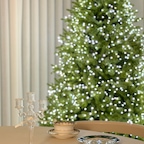 트리를 켜두니 밤무드가 좋아졌어요 🎄
작년까지는 150cm 트리였는데, 180cm 트리를 세워두니 확실히 존재감이 훨씬 크게 느껴져요 :) 


#예쁜템최고야 #콘수프기록집 #오늘의가든 #트리 #크리스마스트리 #pe100트리 #아티파티 #아티파티트리 #180트리 #트리추천 #트리전구 #거실인테리어 #겨울인테리어 #소통 #맞팔 #오늘의가든 