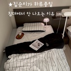 #유럽감성우리집

날씨가 쌀쌀해지니까 침대에서 나오는 게 왜 이렇게 싫은지😂

가을 이불로 바꿔봤더니
포근하고 폭닥한 느낌이 좋아서
요즘 진짜 침대에서 집콕하는 시간이 늘었어요🤎

제가 좋아하는 스트라이프에
침대랑도 잘 어울리는 컬러라
침실 분위기도 따뜻해진 느낌!

시몬스침대도 유럽느낌이 나는데
침구까지 바꾸니 더 유럽감성 🤎
호텔같은 분위기 ✨

개인적으로는 이불이 포근하니까
아침에도 이불 밖으로 나오기 싫고
주말에는 그냥 침대에서 뒹굴뒹굴하고 싶더라고요🤣

가을 분위기로 침실을 바꾸고 싶다면
침구부터 바꿔보는 것도 추천해요🛏️


#시몬스침대 #트윈침대 #호텔침대 #부부침대 #신혼침대추천 #침실꾸미기 #가을이불 #스트라이프이불 #단스탠드 #포터블램프 #조명 #저스에어빔 #오브제 #인테리어 #베베데코 #차렵이불 #사계절이불 #베개커버 #오늘의가든 #맞팔 #소통