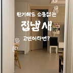
#라비킷 #라비킷고체탈취제

저는 엄청난 청소광(?)인데요...
아무리 청소를 해도 제가 해결할 수 없는 생활 악취들 때문에 꽤 스트레스였어요 😭

그래서 집 안에 향기템을 꼭 두는 편인데, 디퓨저는 향이 넘 독해서 머리가 아픈 경우가 많더라구요. 근데 이건 은은하게 퍼지는 향이라 편안하게 사용 중이에요 ⋆｡˚ ♥


✓ 메종 솝 (고급스러운 비누향)
✓ 포레스트 모닝(따사로운 무화과 정원이 떠오르는 향)


#고체탈취제 #고체탈취제추천 #탈취제추천 #탈취제 #20평대인테리어 #25평인테리어 #신혼집인테리어  #집꾸미기 #콘수프기록집 #인테리어노하우 #신혼집꾸미기 #집꾸미기