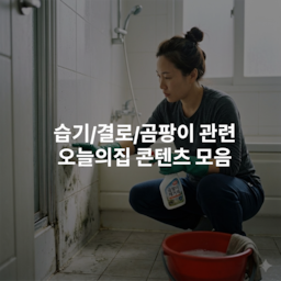 습기/결로/곰팡이 관련 오늘의집 콘텐츠 모음