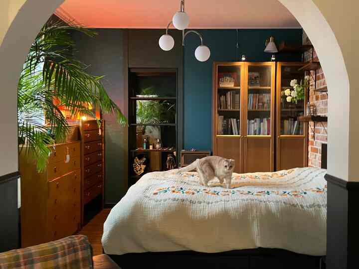 🇰🇷 3LDK｜異国的な香り🌿いっぱい、猫と一緒に住む作家のシングルハウス