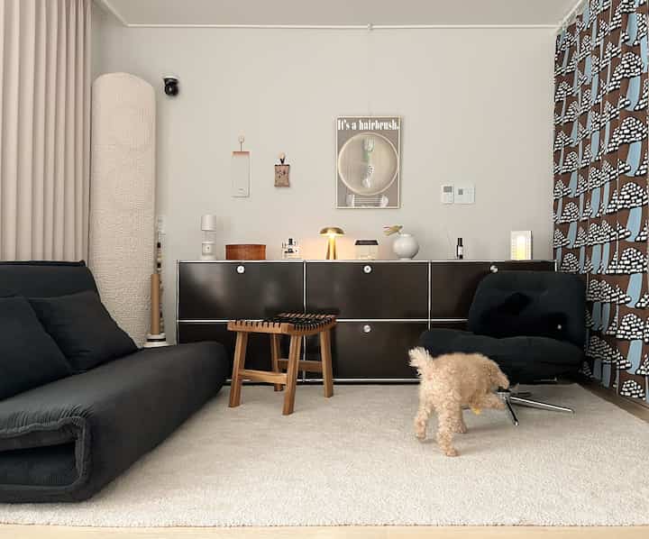 白い壁と黒い家具が調和するリビング、ラグの上で遊ぶ犬がいるモダンな空間