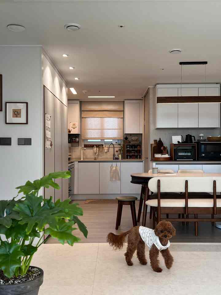白と木目調が調和したナチュラルモダンなキッチンとダイニング、前景にかわいい犬がいる雰囲気のあるインテリア