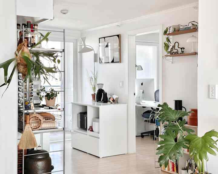 明るく白を基調としたリビングとキッチンの空間、メタルシェルフと植物が調和した清潔で居心地の良いインテリア