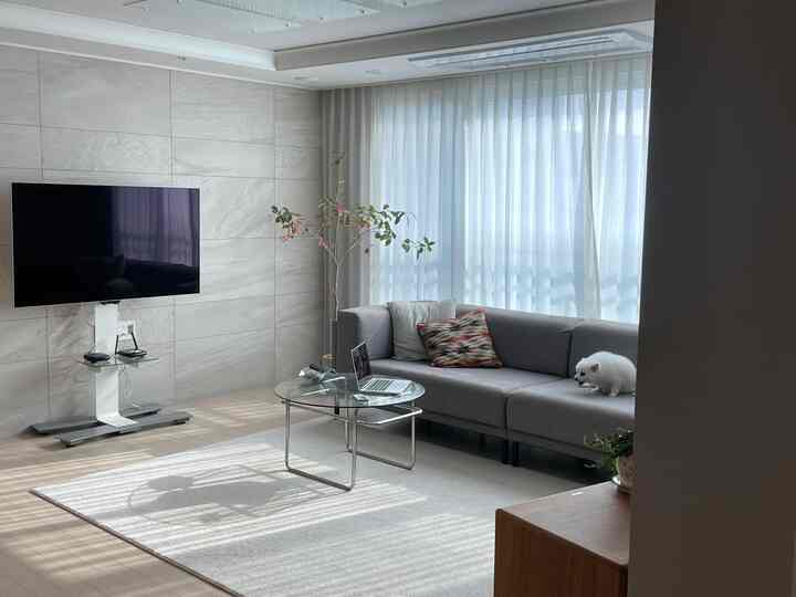 ナチュラルカラーのモダンなリビング、グレーのソファとテレビ台、小さな白い犬がいる雰囲気のある空間