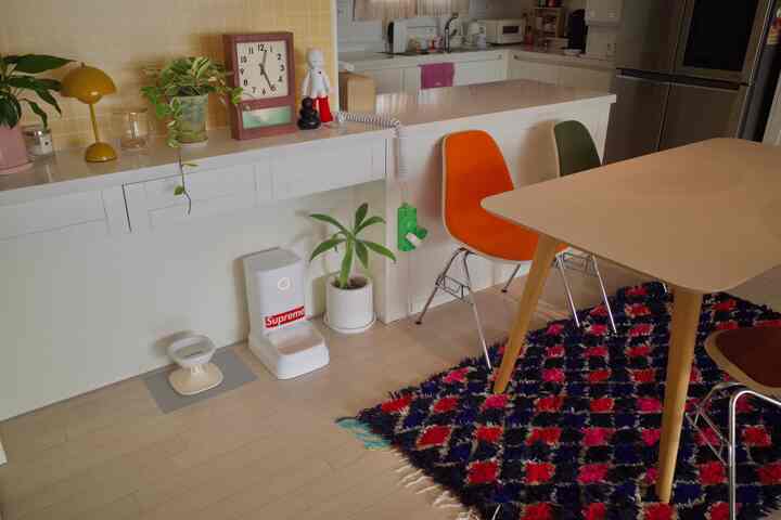 ホワイトとナチュラルブラウンのキッチン・ダイニングスペースに自動ペット用餌入れとカラフルなラグがあり、居心地の良いおうちカフェの雰囲気を演出