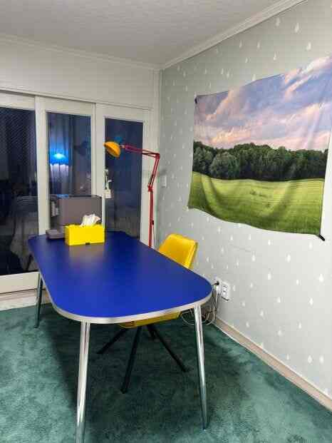 ネイビーのテーブルとグリーンのラグが配置されたコンパクトなホームオフィスのインテリア