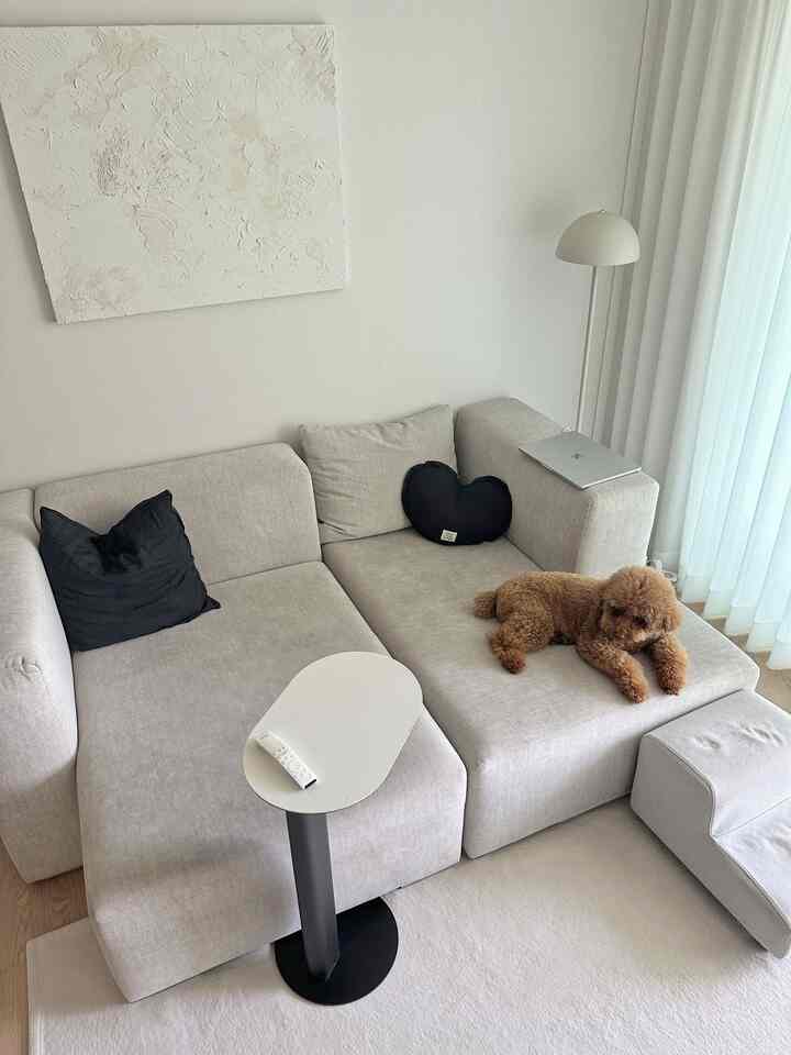 白とグレーのトーンが特徴のリビング、モジュール式の3人掛けソファとクッション、茶色の犬がくつろぐ雰囲気のある空間