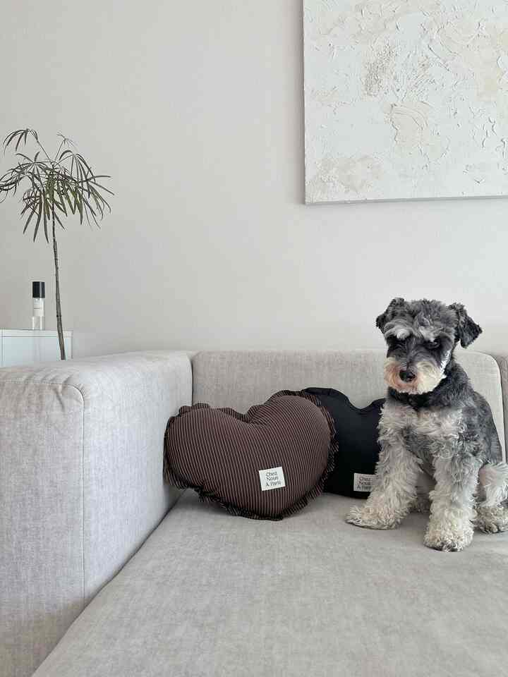 ナチュラルモダンのリビング、ソファの上に黒と茶色のハートクッションが置かれ、犬が静かに座っている印象的な空間