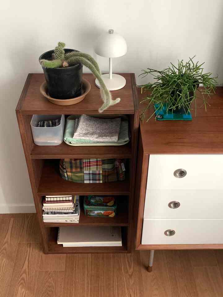 ウッドトーンとホワイトの組み合わせのリビング、植物が配置されたチェストとシェルフがある雰囲気のあるインテリア