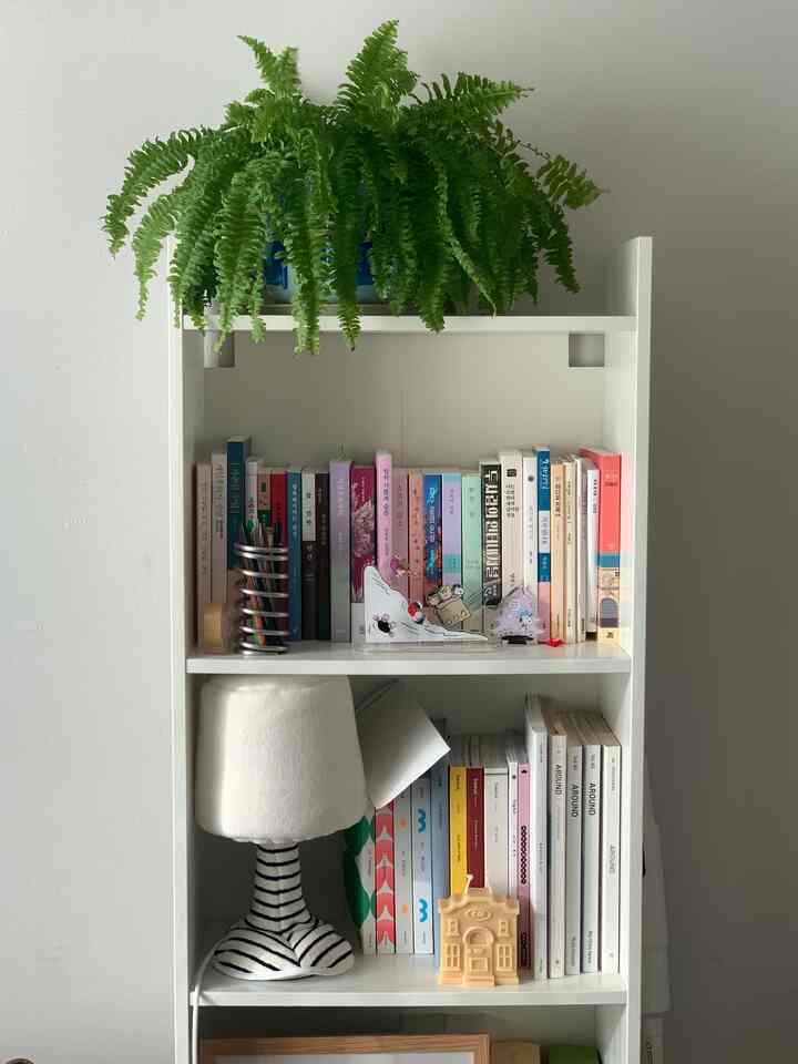 白い本棚が並び、多数の本と緑の植物が配置されたすっきりした収納空間