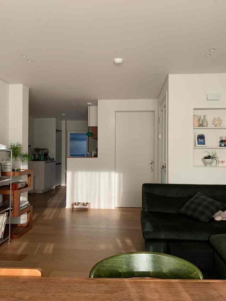 ナチュラルカラーと木目調のリビング・キッチンスペース、深いグリーンのソファと整った間仕切りが清潔感ある印象的な空間