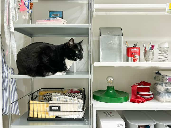 グレーと白の金属製棚に整理された小物と棚の上に座る黒い猫がいる整った収納スペース