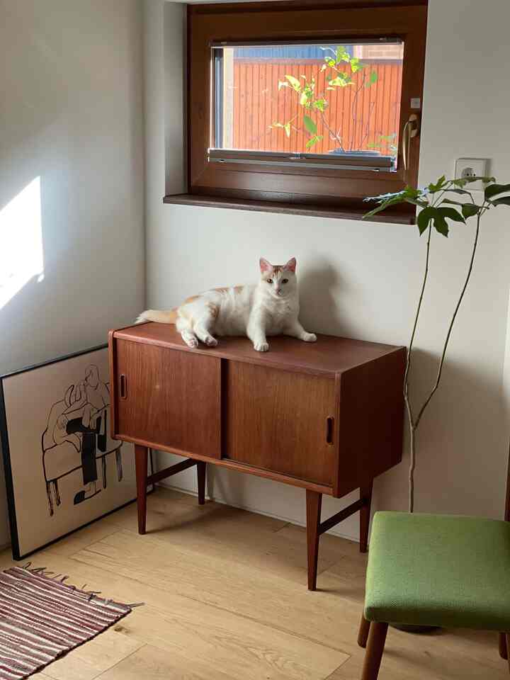 温かみのあるブラウンの木製家具と床、窓辺の棚に猫がくつろぐナチュラルなリビング空間