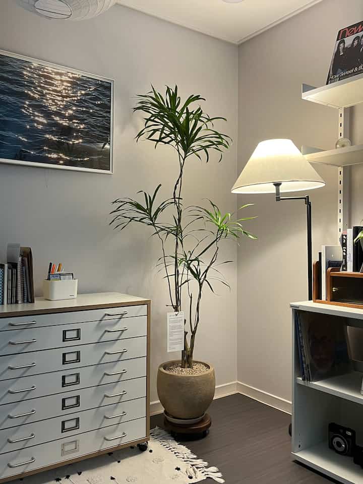 ナチュラルなトーンのリビングの一角で、大きな鉢植えの植物、白いチェスト、フロアランプが配置された印象的な空間