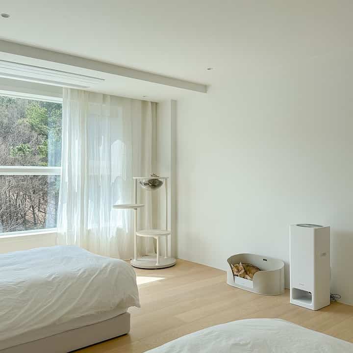 ナチュラルトーンの白い壁の寝室、窓際に透明なハンモック付きキャットタワーとバスケットでくつろぐ猫がいる印象的な空間