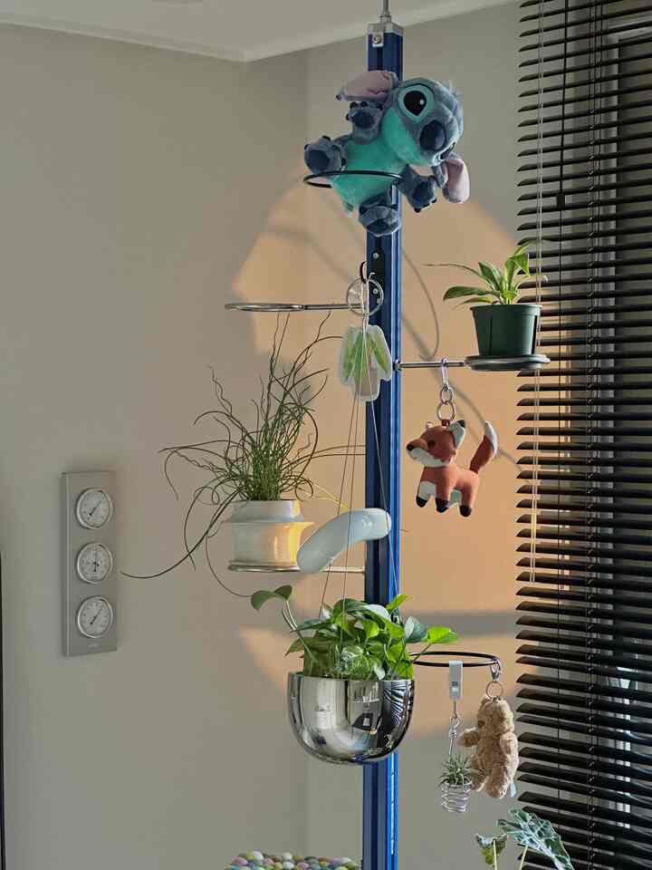 白い壁とシルバーのプラントラックが配置されたリビングの窓際、吊り下げ植物とブラインドが調和した自然なインテリア