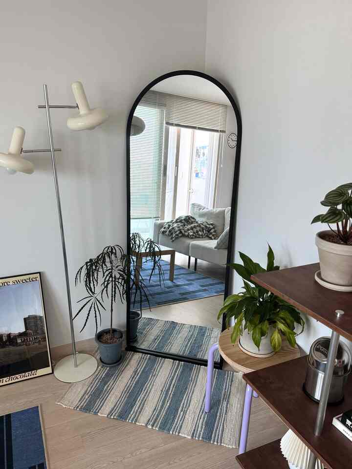 白と木目調のワンルーム、アーチ型の大きな鏡と棚、植物が配置された自然な雰囲気のインテリア