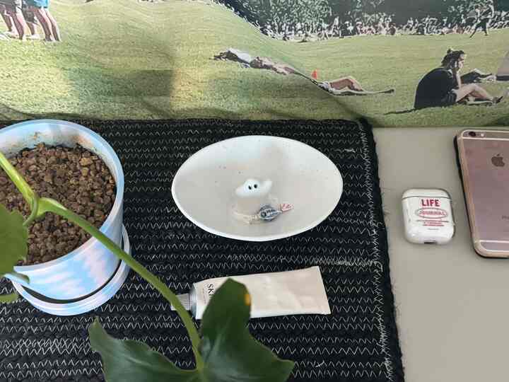 ナチュラルなグリーンプラントと白い陶器の皿が置かれたキッチンテーブルの風景