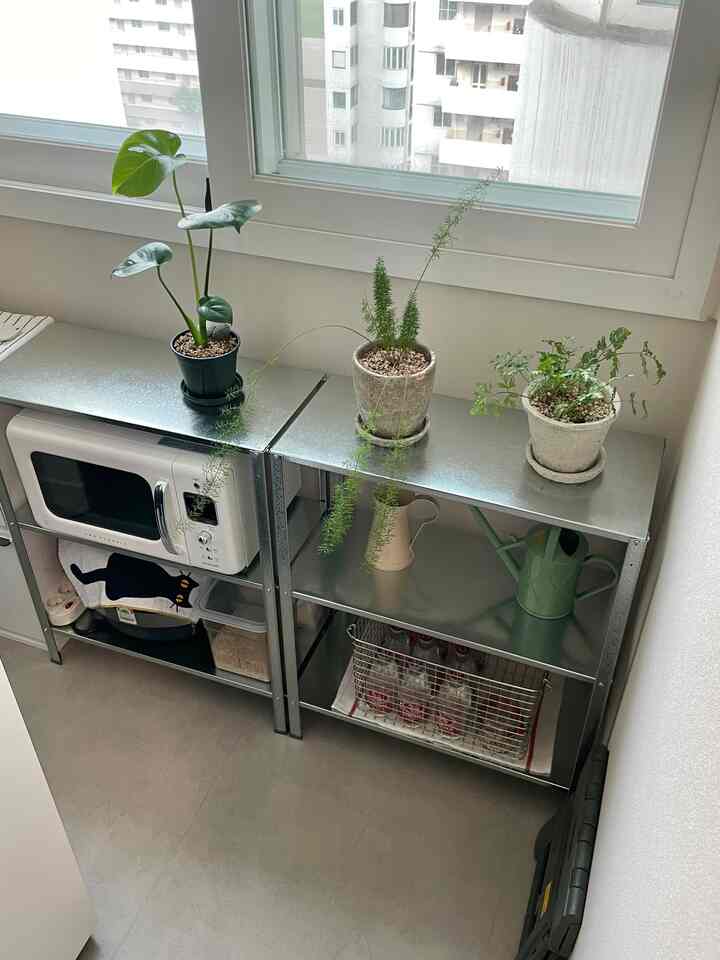 白い壁と窓の下に配置された金属製の棚に植物やキッチン用品が並ぶコンパクトなキッチンスペース