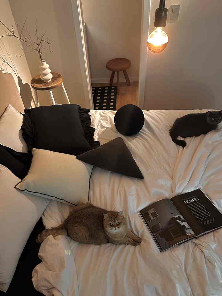 ブラックとウッドトーンが調和する暖かく落ち着いた寝室、ベッドの上に2匹の猫とクッションが配置された空間