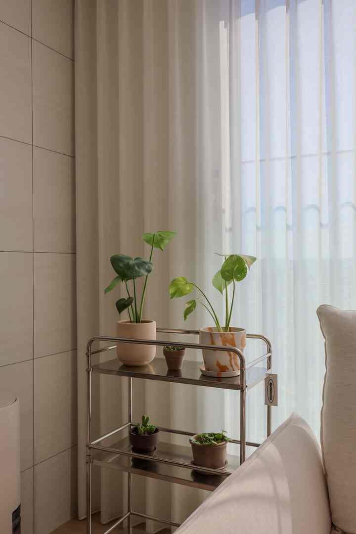 淡いアイボリーのカーテンとステンレス製トロリーに多様な植物が置かれた小さなベランダ空間