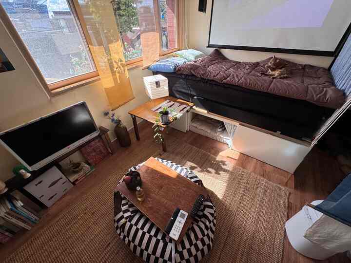 温かみのある木目調と黄色いカーテンが調和する小さな寝室兼リビング、ベッドの上に猫がいる落ち着いた空間