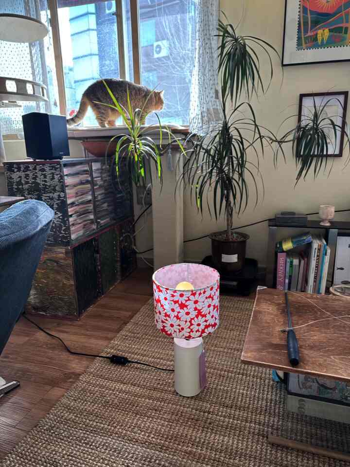 ナチュラルカラーのリビング、観葉植物と窓辺の猫がいる雰囲気のあるインテリア、中央に赤い花柄のテーブルランプが配置されている