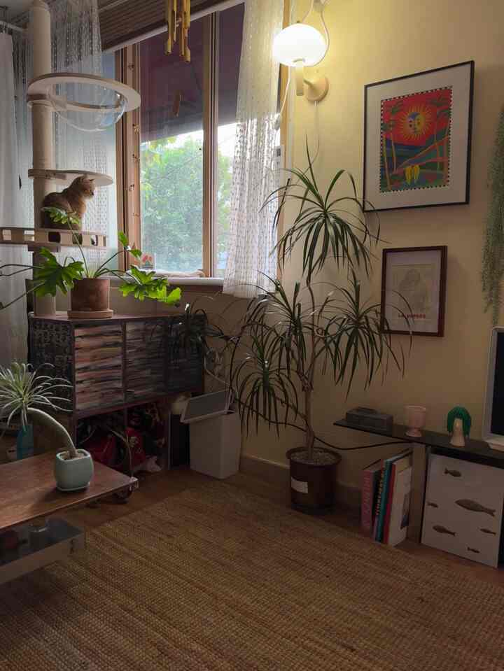 ベージュのトーンのワンルームリビング、キャットタワーと様々な植物が配置された自然な雰囲気のインテリア