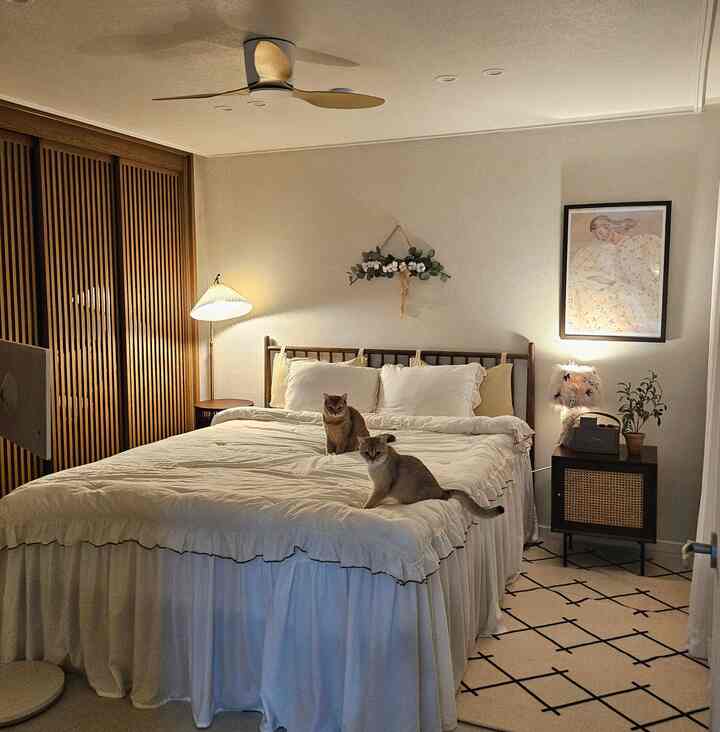 クリームホワイトの寝具と木目調のウォークインクローゼットの格子扉がある、猫が二匹ベッドに座っている落ち着いた寝室