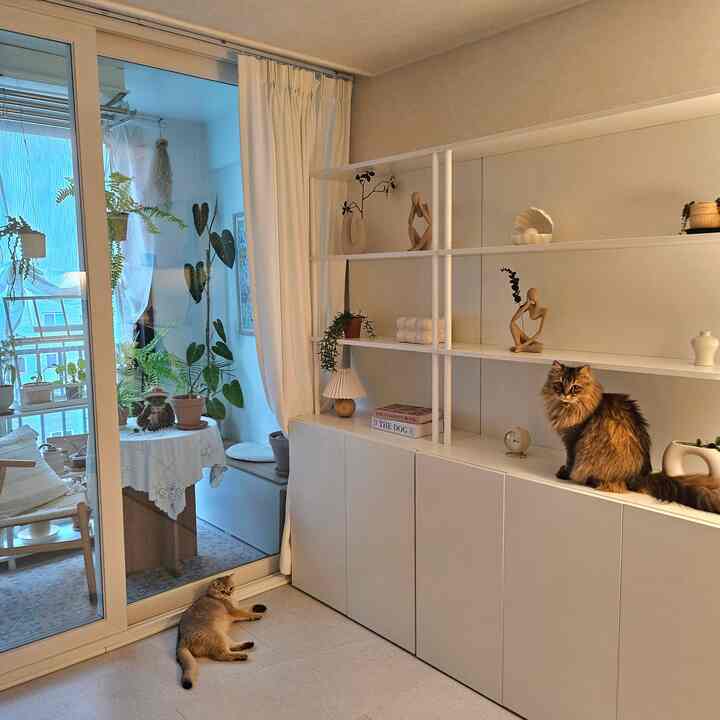 ホワイトトーンの書斎とベランダ、豊かな植物とペットの猫がいる自然で落ち着いた空間