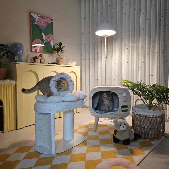 黄色とナチュラルトーンの猫部屋、バター色の収納キャビネット、爪とぎ、猫用ハウス、カーテンが温かみのある雰囲気を演出