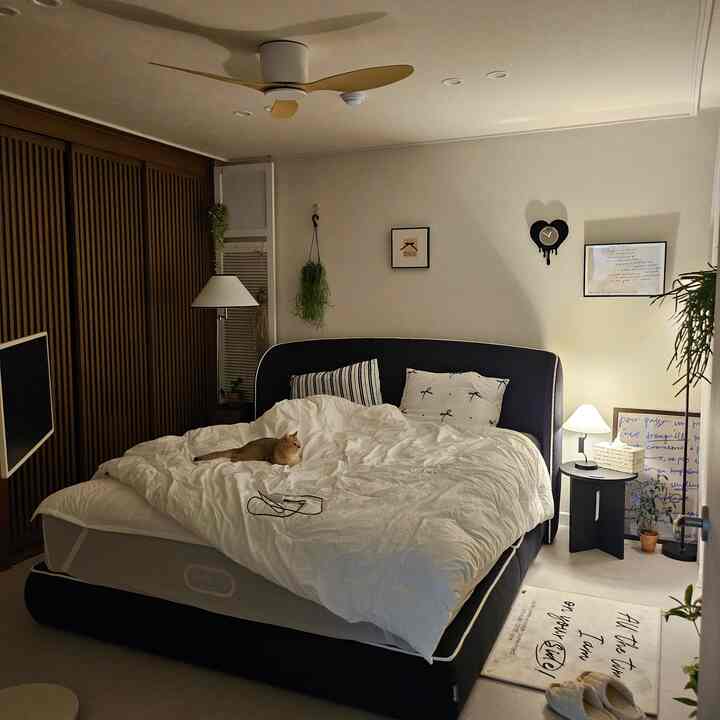 ブラックのベッドフレームとホワイトの寝具が配置されたナチュラルな雰囲気の寝室、猫がベッドでくつろいでいる