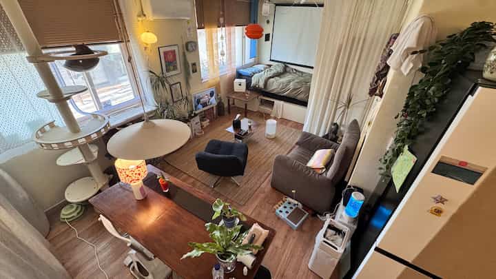 ミッドセンチュリーモダン ラグ（6畳用）のインテリアコーディネート集