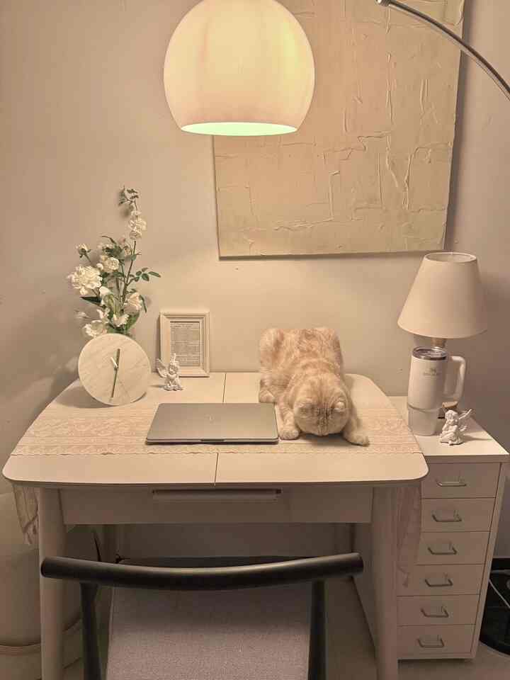 柔らかなホワイトとベージュのトーンで構成されたコンパクトなホームオフィス空間、デスクの上にくつろぐ猫と温かみのある照明がある雰囲気の良いインテリア