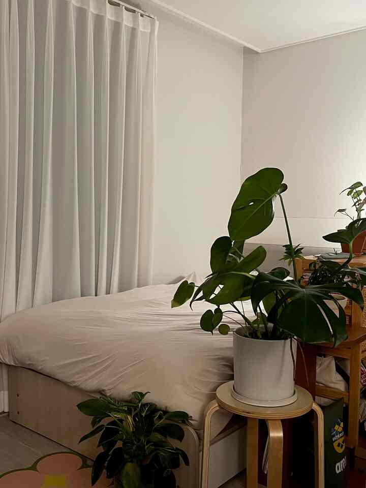 ベージュ色調のナチュラルスタイルウォークインクローゼット、ベッドと観葉植物が置かれた木製スツールが印象的な落ち着いた空間