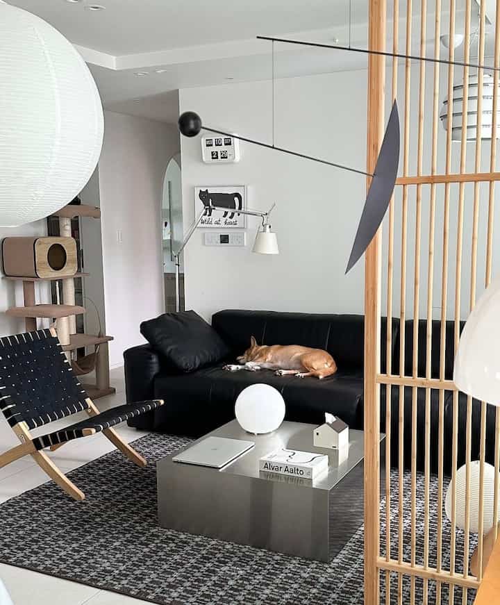 白い壁と床、黒いレザーソファとラグが配置されたモダンなリビングルームで、ソファの上で犬が休んでいる様子