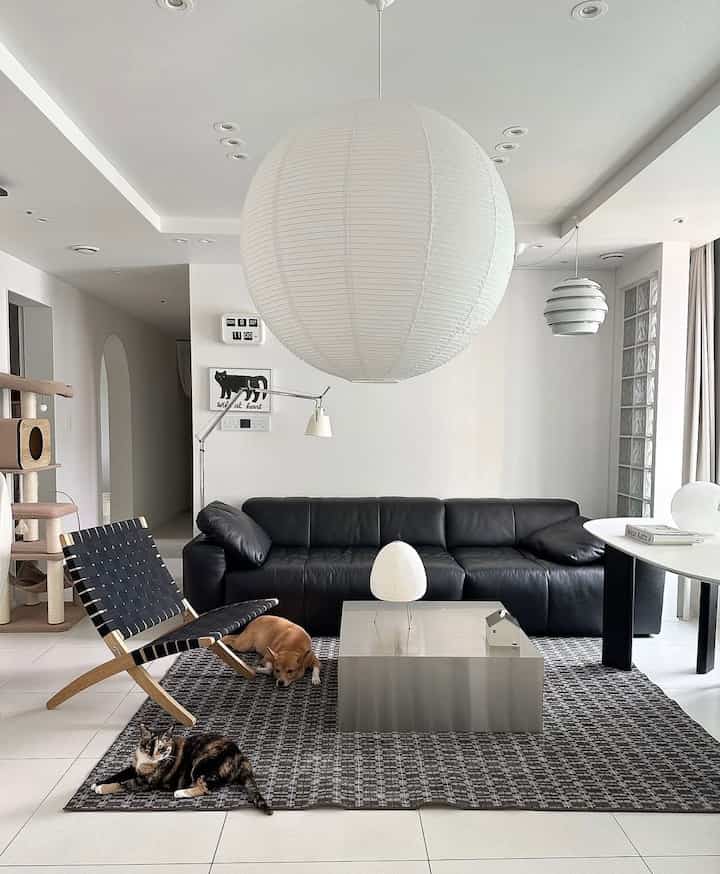 白い背景と黒い家具が調和したリビング、犬と猫がいる温かみのある雰囲気のインテリア