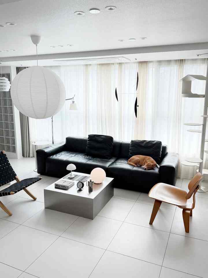 白を基調としたリビング、黒い革のソファと木製のアームチェアが配置されたナチュラルモダンなインテリア