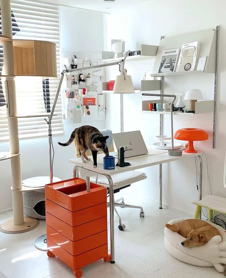 ホワイトとオレンジトーンの書斎、デスクとキャットタワー、ペットベッドが配置された雰囲気のあるモダンなインテリア