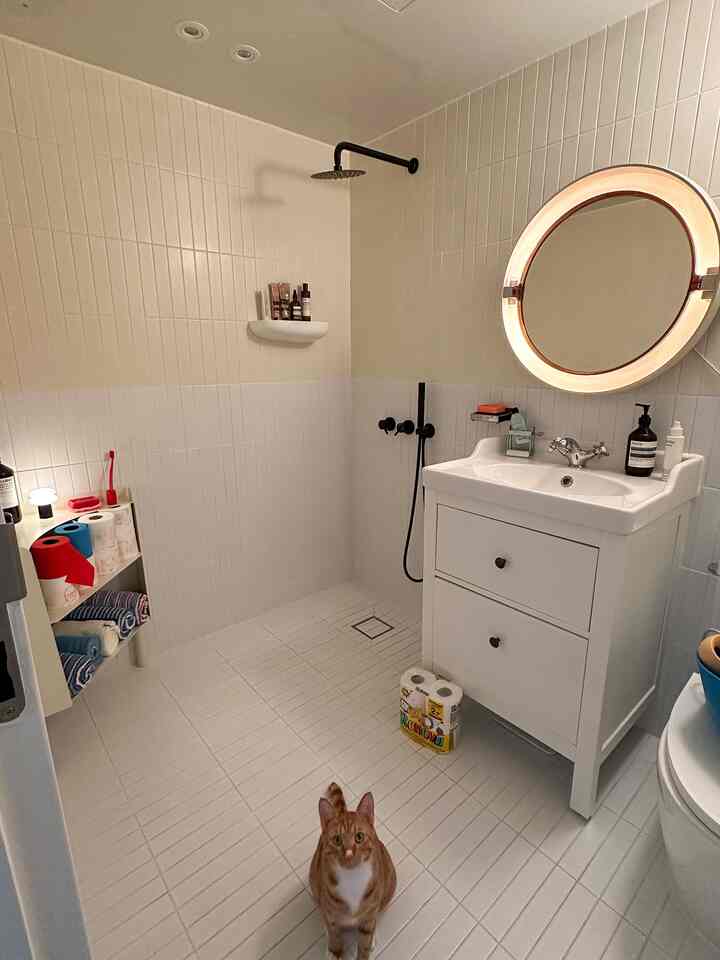 明るいホワイトトーンのバスルーム、イケアの洗面台とコーナー収納が配置され、シンプルで清潔なインテリアの中に猫がいる様子